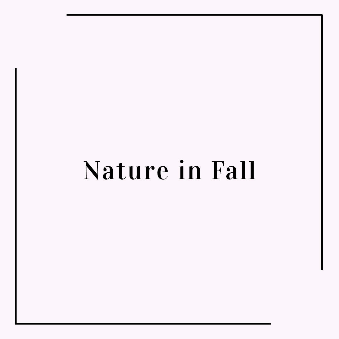 Nature in fall
